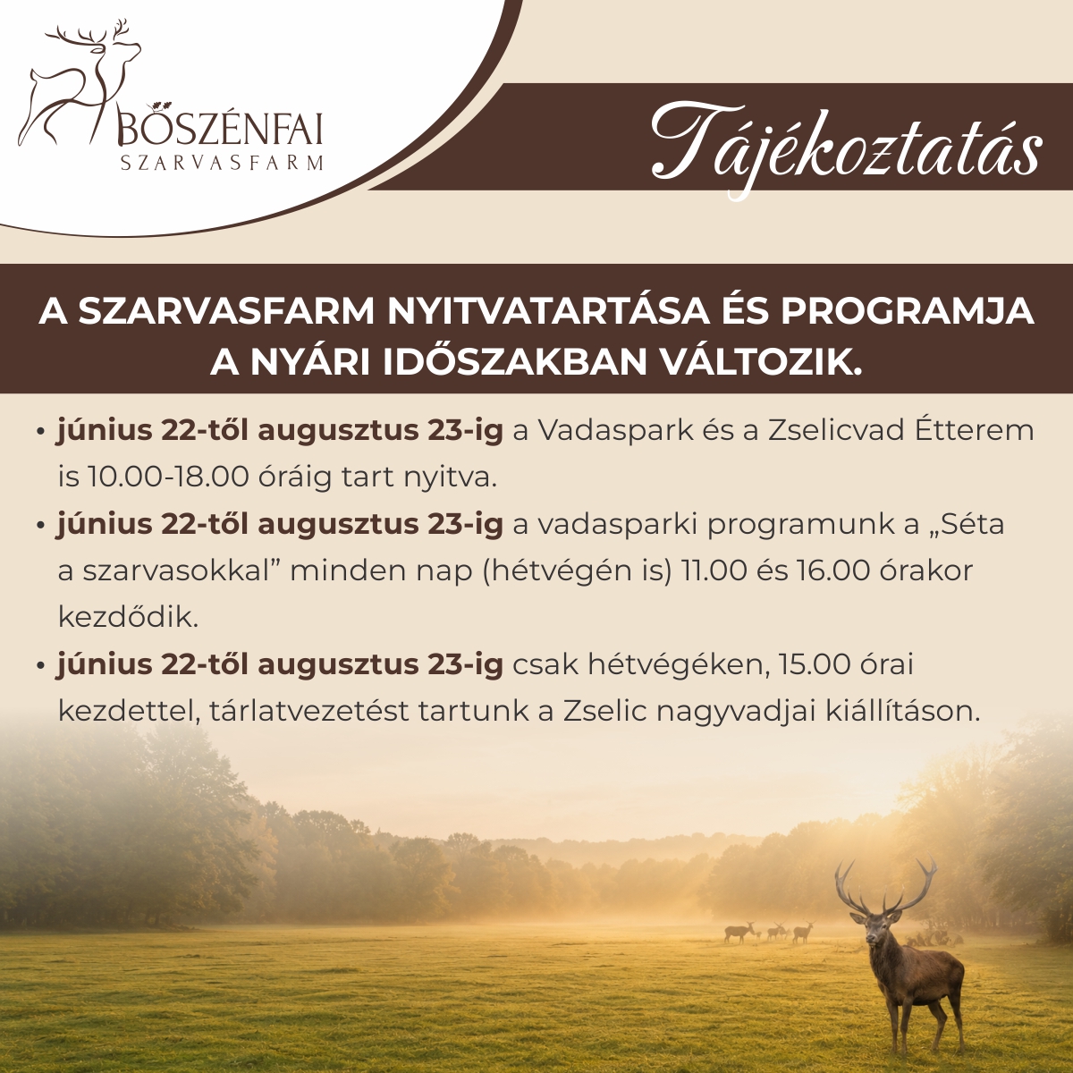 Nyári nyitvatartás: június 22-től augusztus 23-ig a Vadaspark és a Zselicvad Étterem is 10.00-18.00 óráig tart nyitva. június 22-töl augusztus 23-ig a vadasparki programunk a „Séta a szarvasokkal" minden nap (hétvégén is) 11.00 és 16.00 órakor kezdödik. • június 22-töl augusztus 23-ig csak hétvégéken, 15.00 órai kezdettel, tárlatvezetést tartunk a Zselic nagyvadjai kiállításon.